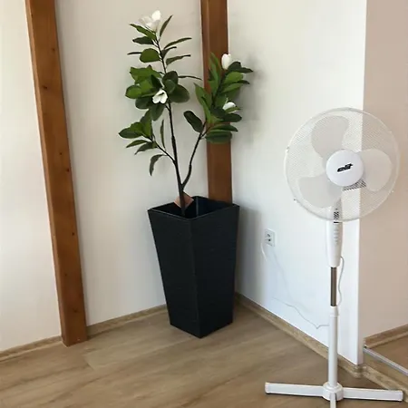 Domi Apartman